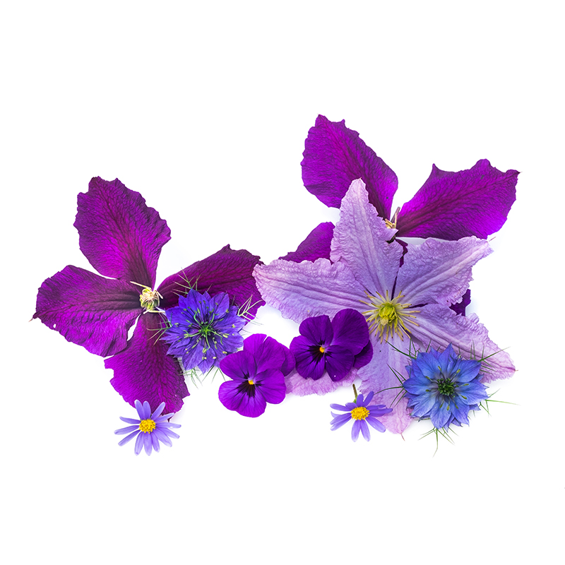 Dolce & Floreale